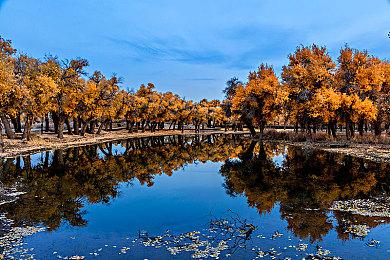 英伟达新显卡驱动发布 优化《恶意不息》《庄园领主》